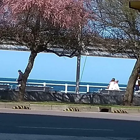 Playa San Lorenzo A 100 M De Playa * 希洪